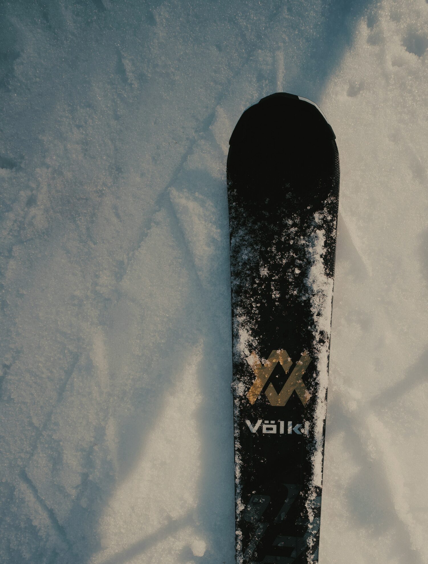 The front of a single ski standing in fresh snow.