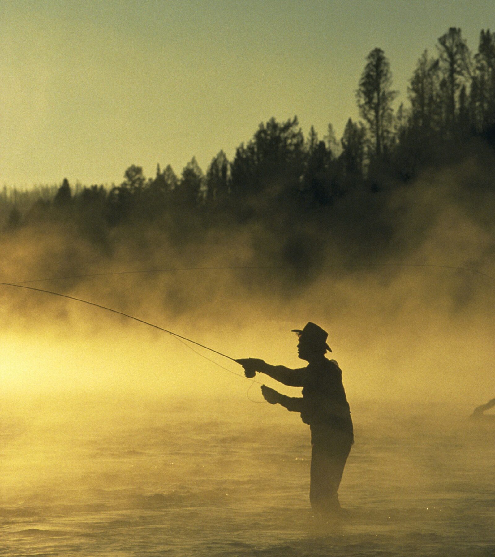 Fly fisherman casting in golden light.